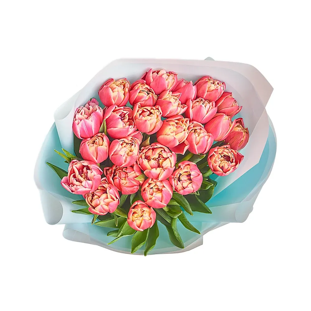 Букет из 25 пионовидных ярко розовых тюльпанов