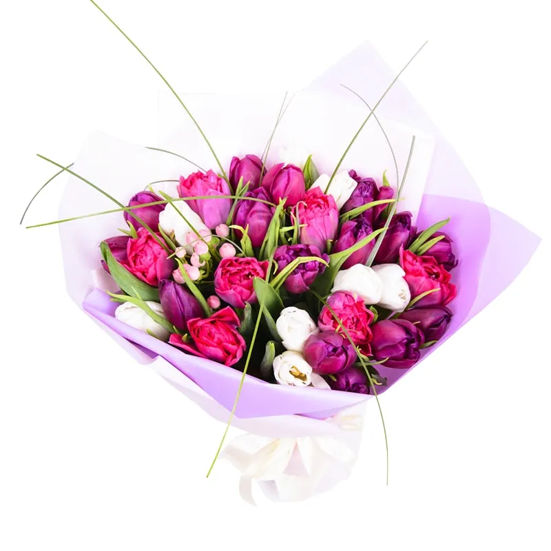 Букет из 25 пионовидных тюльпанов фиолетовых и белых